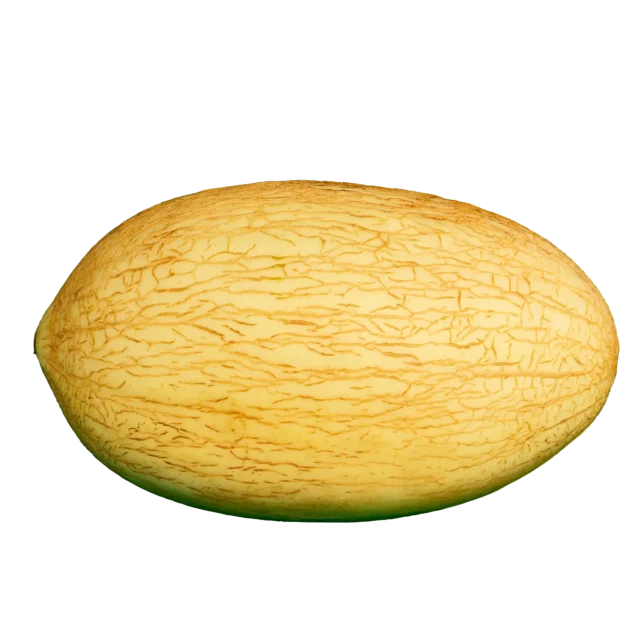 Jaffa Summer Melon